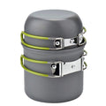 Portable Gas Camping Stove Q320
