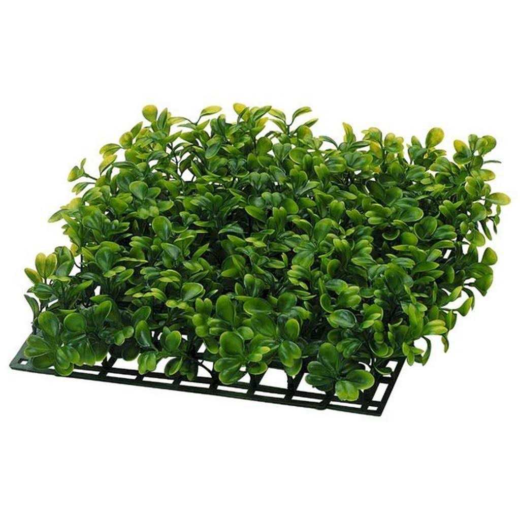 20 Gallons Aquatic Turtle Kit with Filter And Heating Lamps W48122