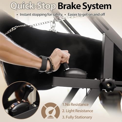 Dog Treadmill with Brake & Plastic Track P458037