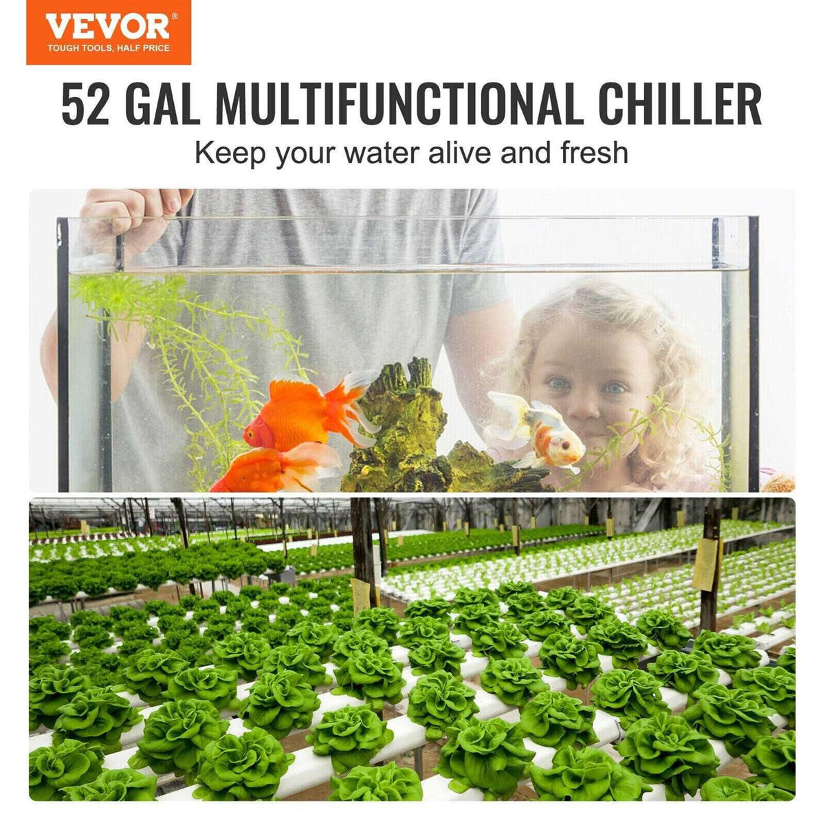52 Gal 1/10 HP Hydroponic Water Chiller I4712