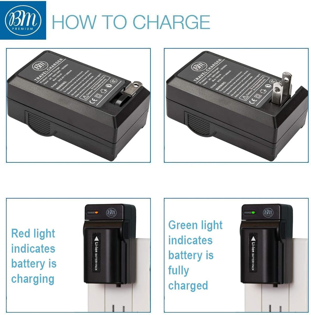 2 Batteries and Charger S95383