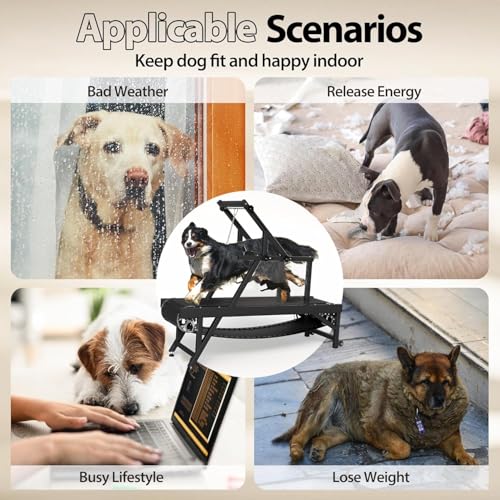 Dog Treadmill with Brake & Plastic Track P458037