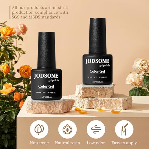 10 Colors Gel Nail Polish Kit with Mini UV LED Nail Lamp Base Coat Top Coat Set C243403