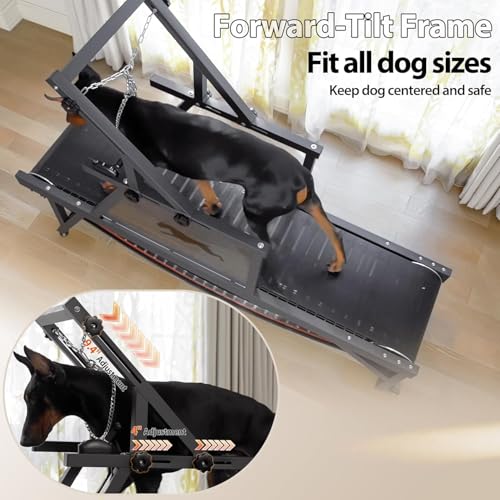 Dog Treadmill with Brake & Plastic Track P458037