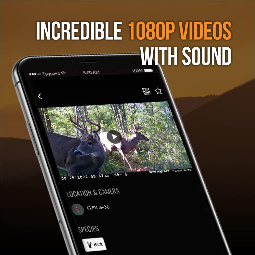 36MP Cellular Trail Camera with Sound, 100' Detection Range (2 Pack) V4229