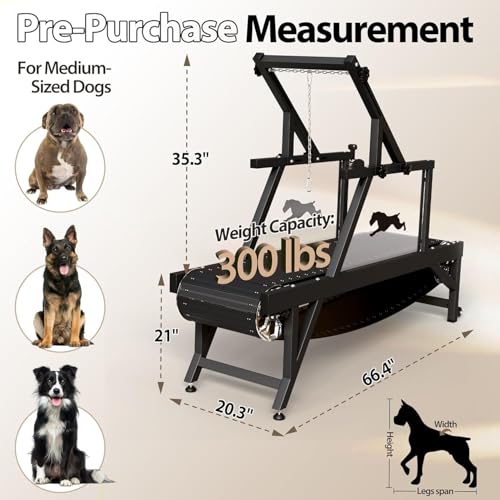 Dog Treadmill with Brake & Plastic Track P458037