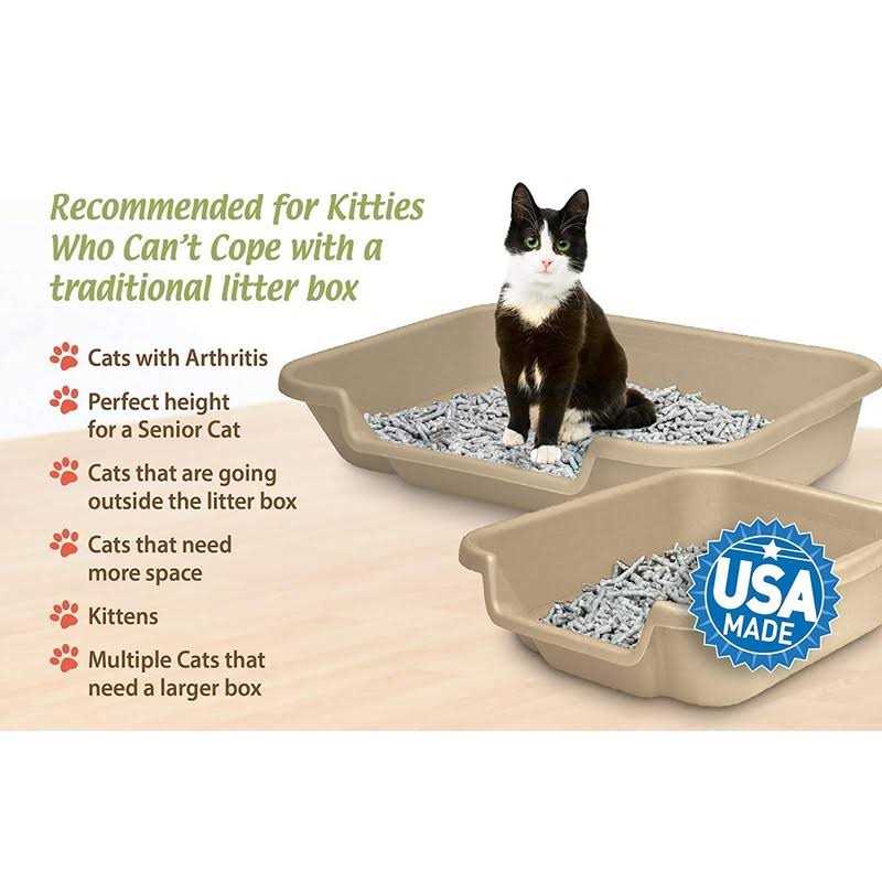 Senior Cat Litter Box Y352