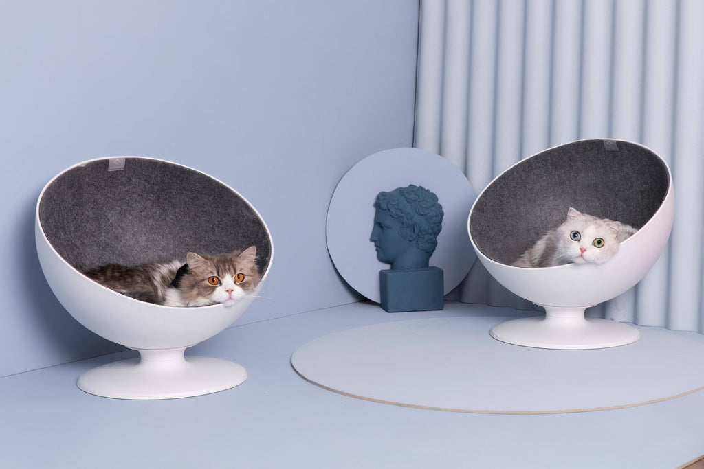Elevated Cat Bed R574898