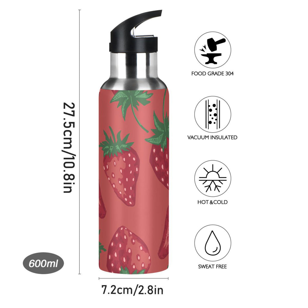 Stainless Steel Insulated Water Bottle with Straw Lid Z549