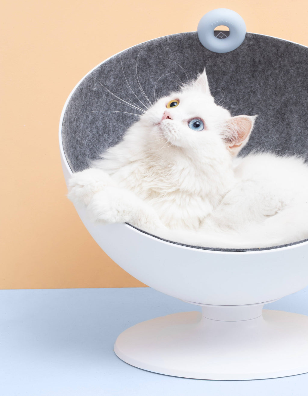 Elevated Cat Bed R574898
