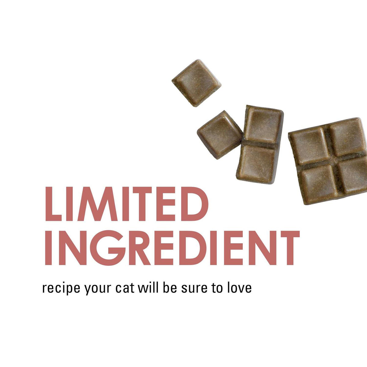 Limited Ingredient Salmon Flavor Cat Treats W7709