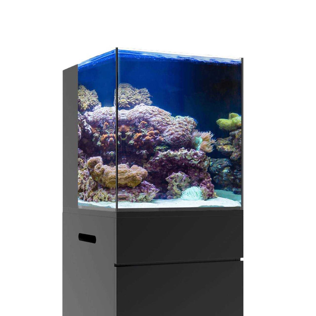 Nano Rimless Aquarium S816052