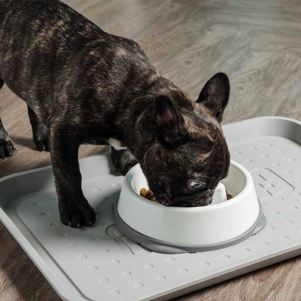 Slow Feeding Bowl for Short Snouted Pets J661