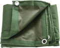 Green 6 x 8 Feet Waterproof Canvas Tarp with Rust Grommets D532
