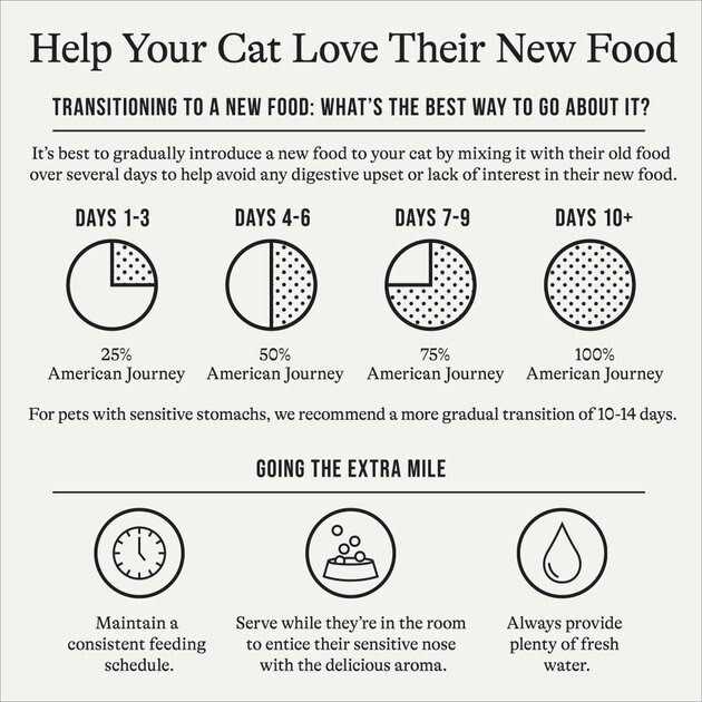 Salmon Grain-Free Dry Cat Food O1001