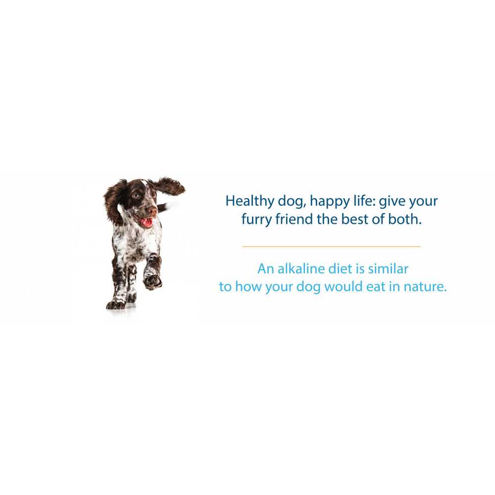Grain Free Dry Dog Food T372887
