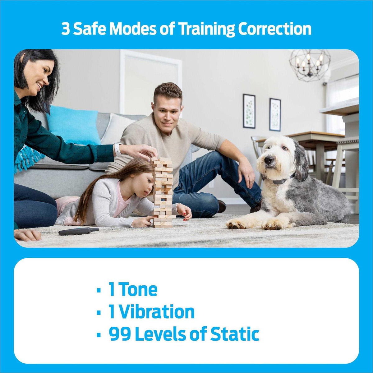 Remote Trainer U531