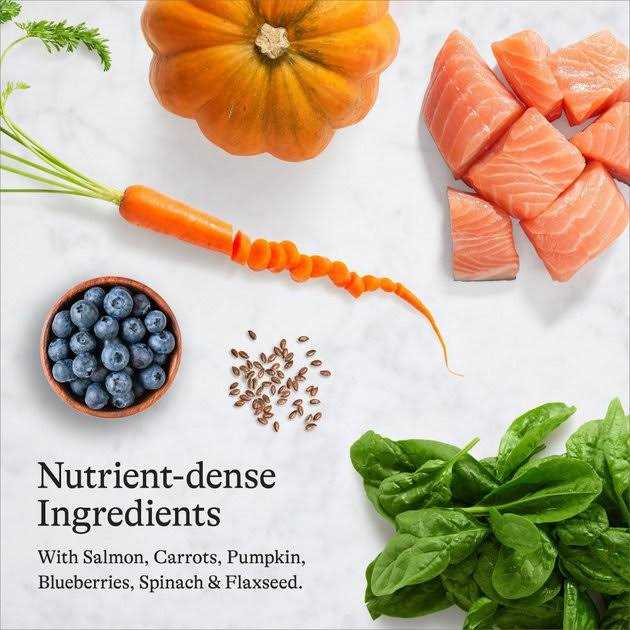 Salmon Grain-Free Dry Cat Food O1001