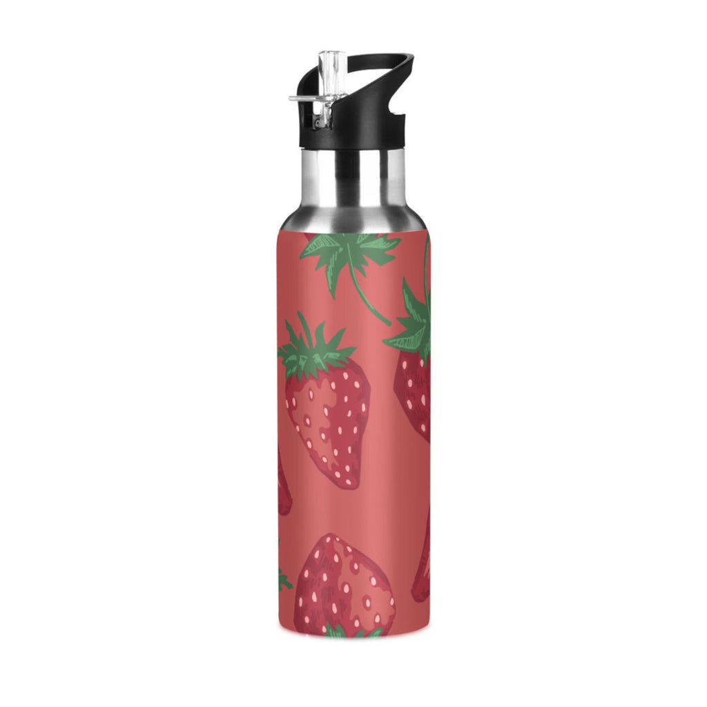Stainless Steel Insulated Water Bottle with Straw Lid Z549