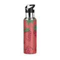 Stainless Steel Insulated Water Bottle with Straw Lid Z549