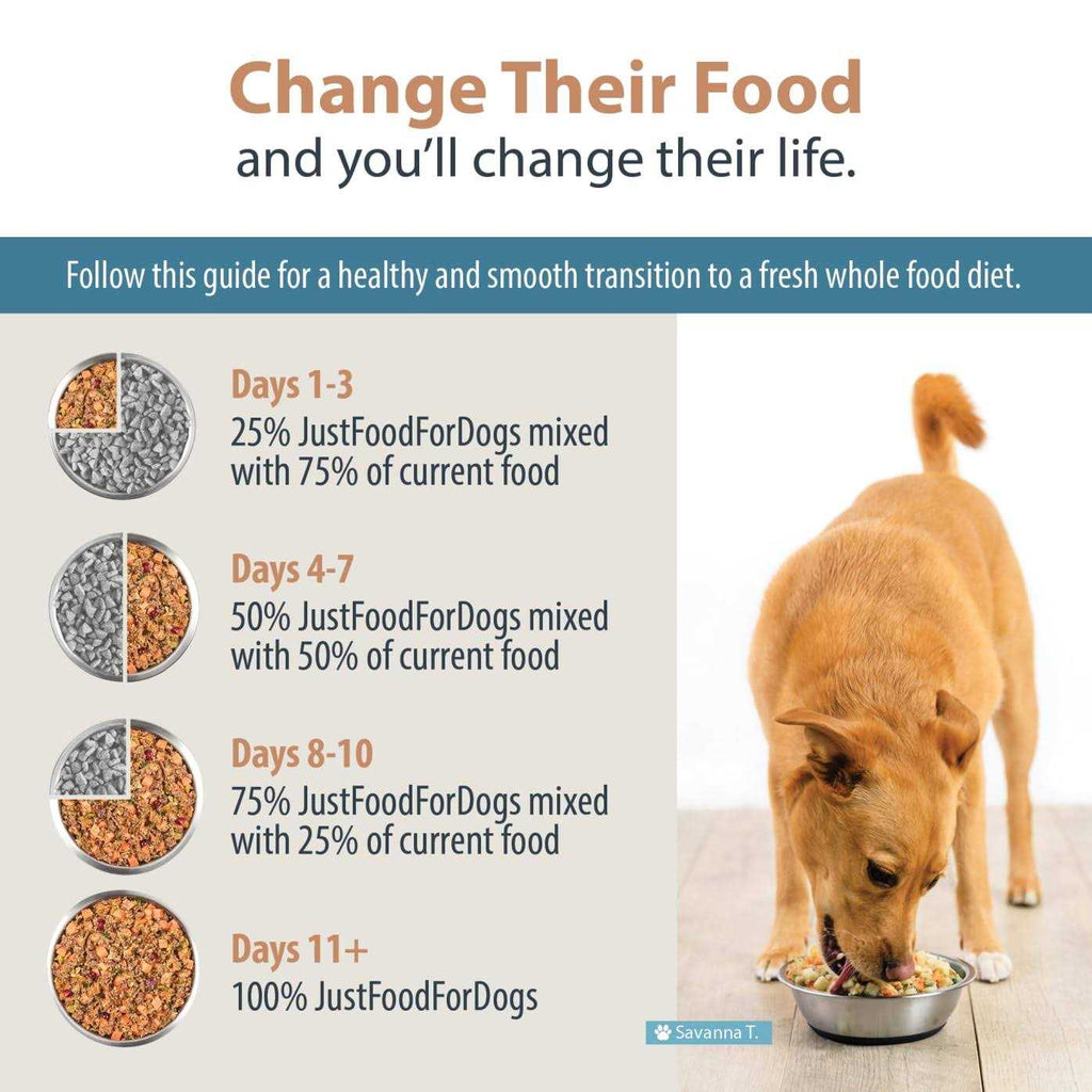 Balanced Frozen Dog Food U775279