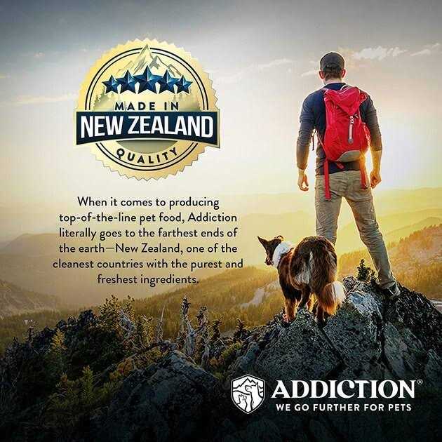 Vegetarian Dry Dog Food B343
