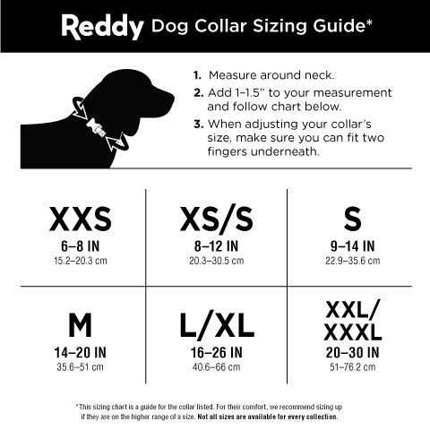 Webbed Dog Collar T82047
