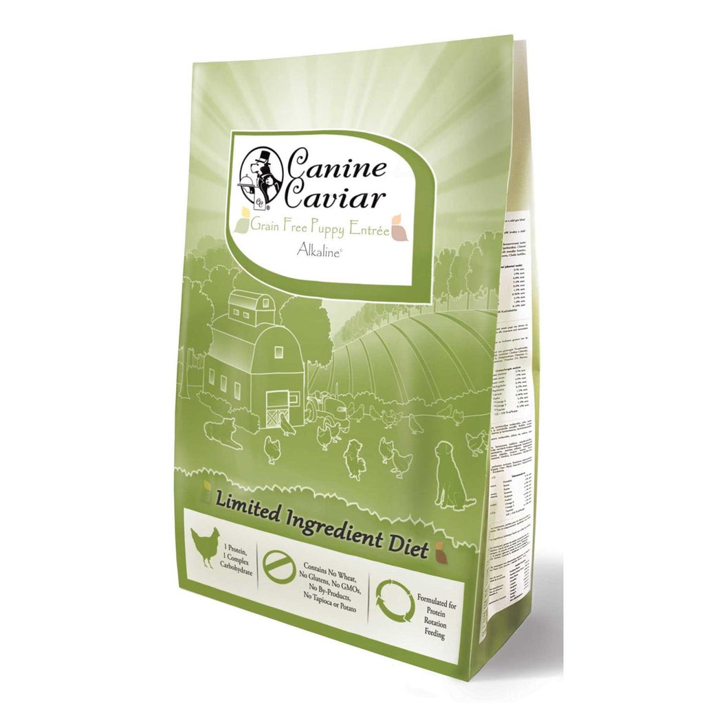 Grain Free Dry Dog Food T372887