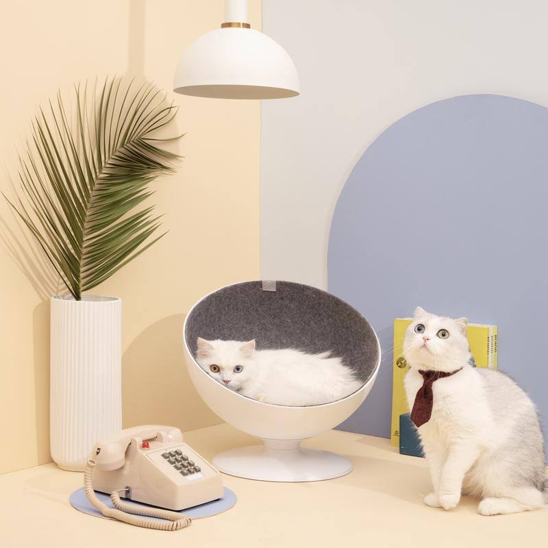 Elevated Cat Bed R574898