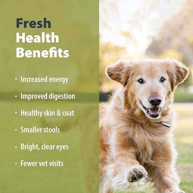 Balanced Frozen Dog Food U775279