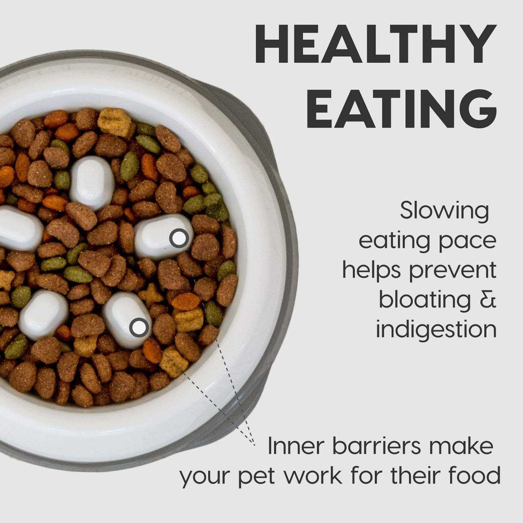Slow Feeding Bowl for Short Snouted Pets J661